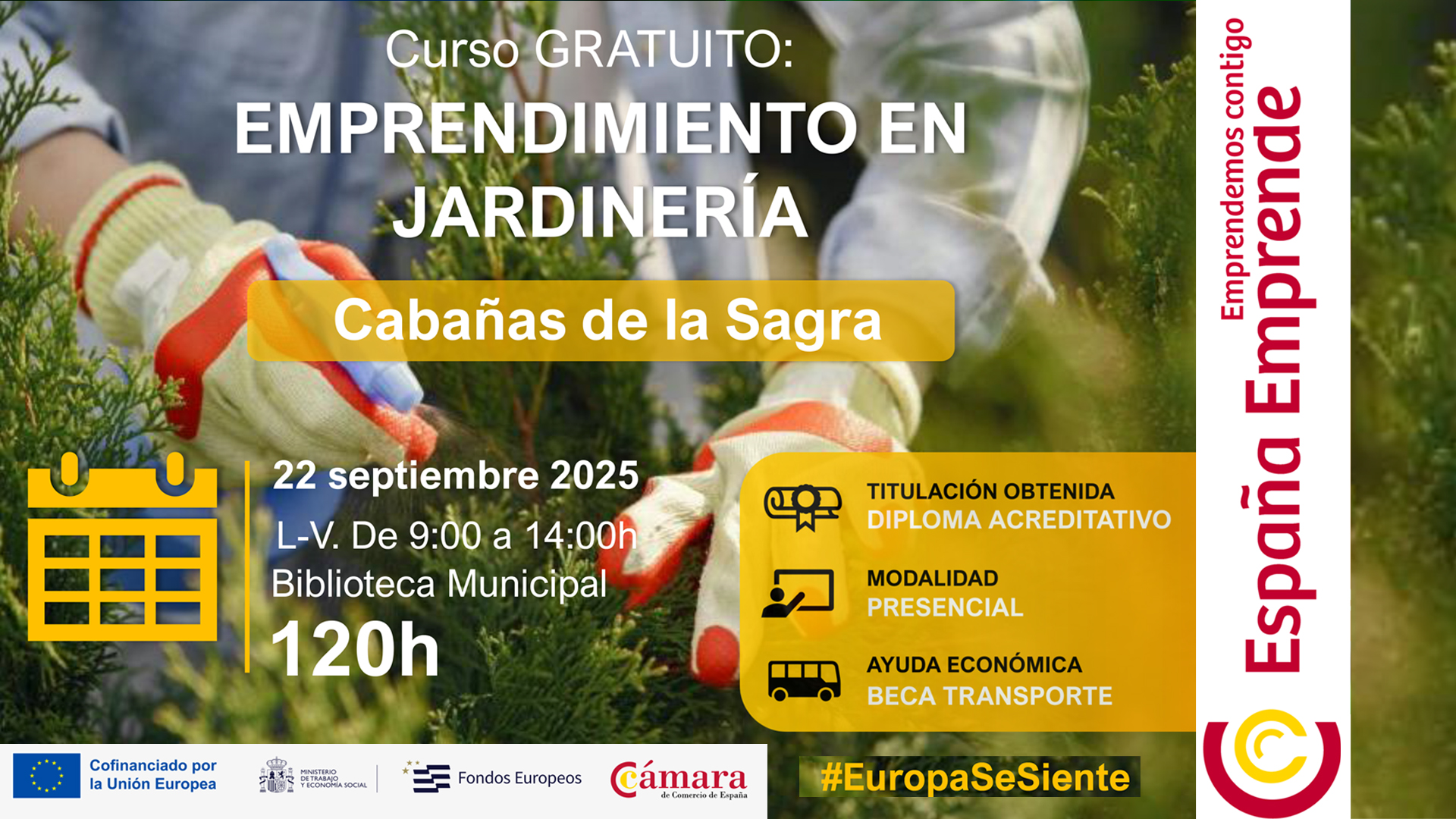 curso de jardineria camara_w
